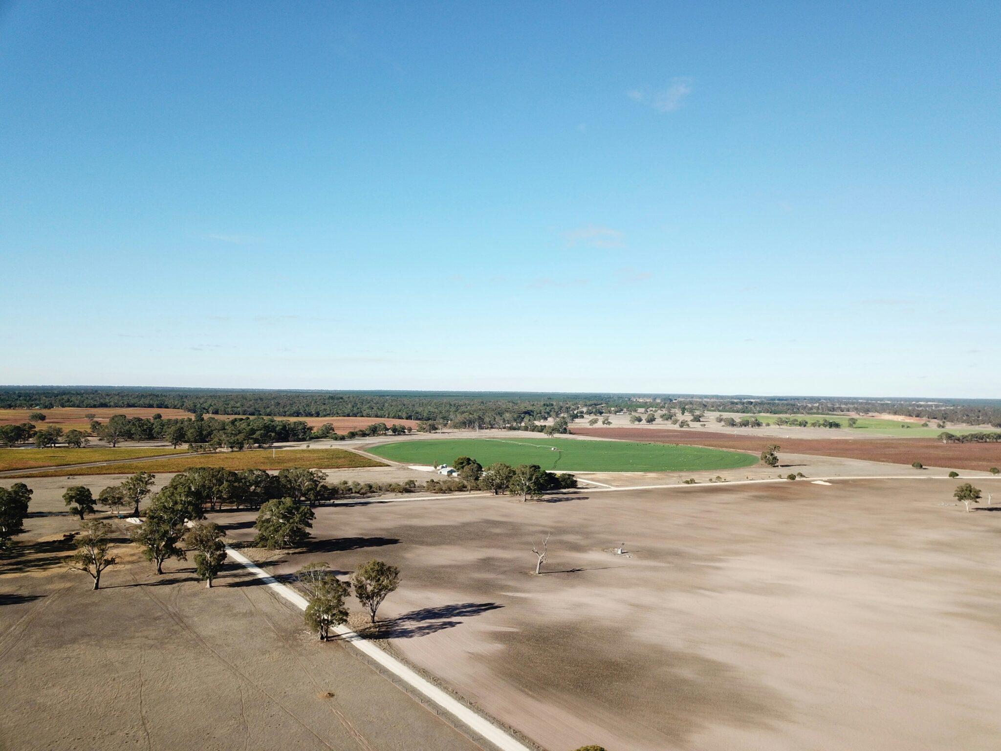 Aerial view of expansive farmland with fields, scattered trees and a circular irrigated crop.