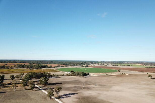 Aerial view of expansive farmland with fields, scattered trees and a circular irrigated crop.